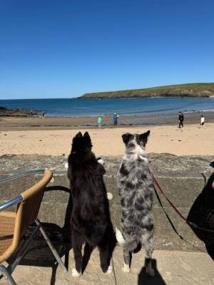 489621342_122119582964783359_4692939744390622178_n201_original