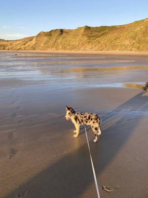 494670428_122125577468783359_7042432712149408181_n_original