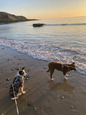 494812442_122125577546783359_2267036898509549624_n_original