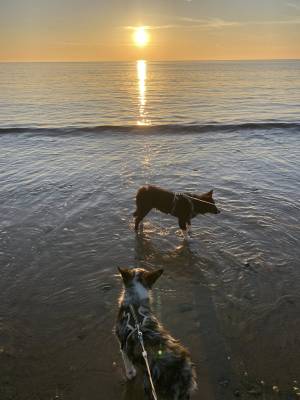 494864912_122125577534783359_9012962000336299043_n_original