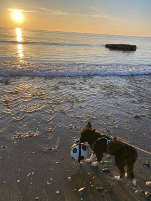 494957273_122125577522783359_1751425179466042038_n_original