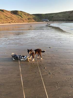 495130107_122125577504783359_8492578992622017291_n_original