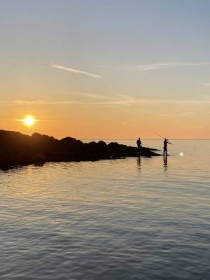 495382409_122125577492783359_5241647258086823115_n_original